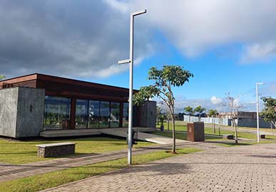 Site - 06